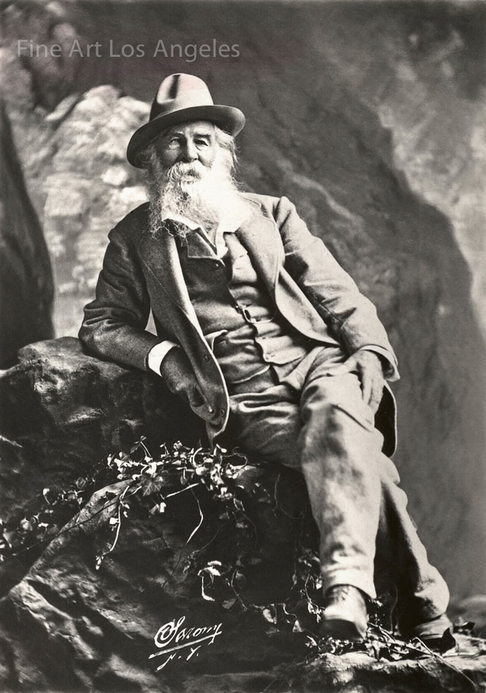 Napoleon Sarony Photo, Walt Whitman, 1878