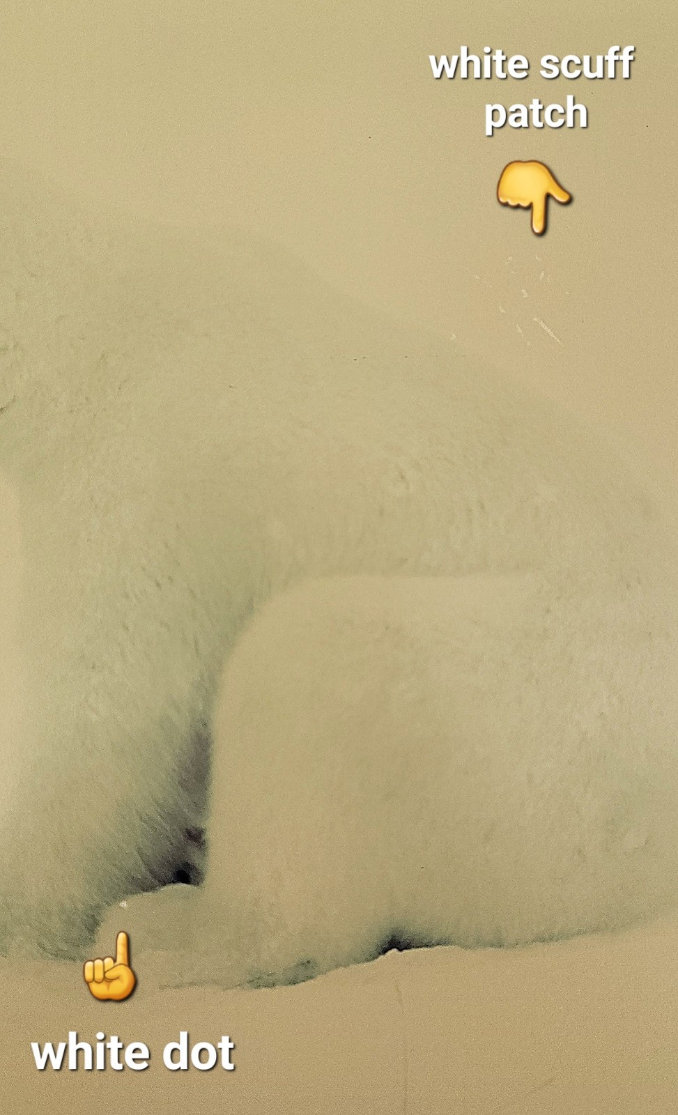 THOMAS MANGELSON – Polar Expressions Limited Edition Photograph #681/950, 11×14″