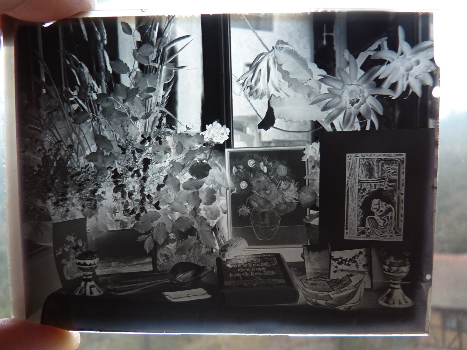 Glass Plates Negative Circa 1930 1933 Marburg Young Woman Teddy Doll Still Life