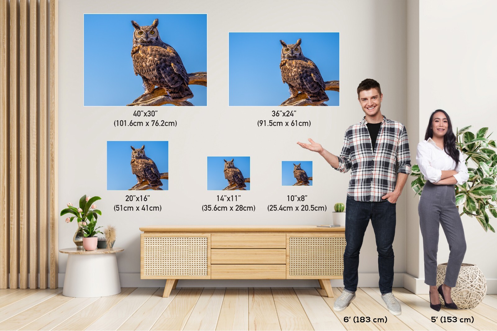 Twilight Guardian: Horned Owl On a Branch Wildlife Wall Art Print
