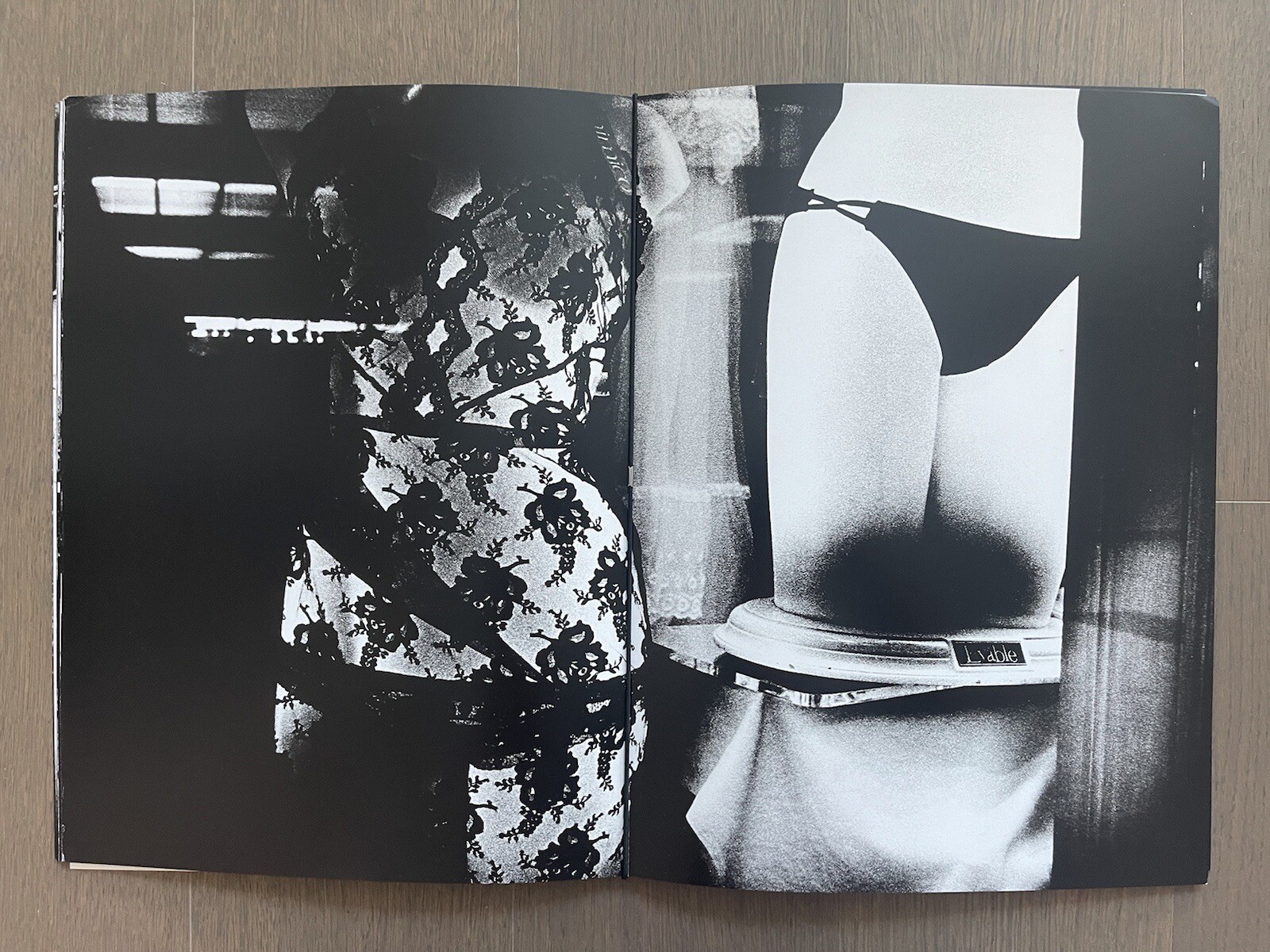 🎈Signed! Daido Moriyama Light & Shadow Magazine Special Limited Ed, SALE! RARE