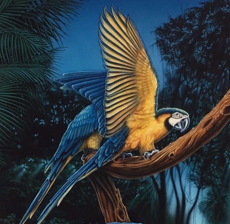 Tangher, Neeley-2 Macaws-Birds-Art for Sale