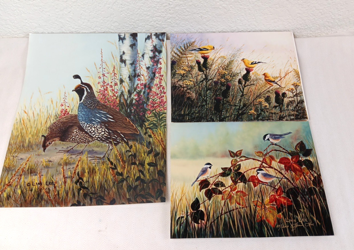 3 VTG Bird Photographs Pictures Signed, Limited Editions Quail Chickadee Nature