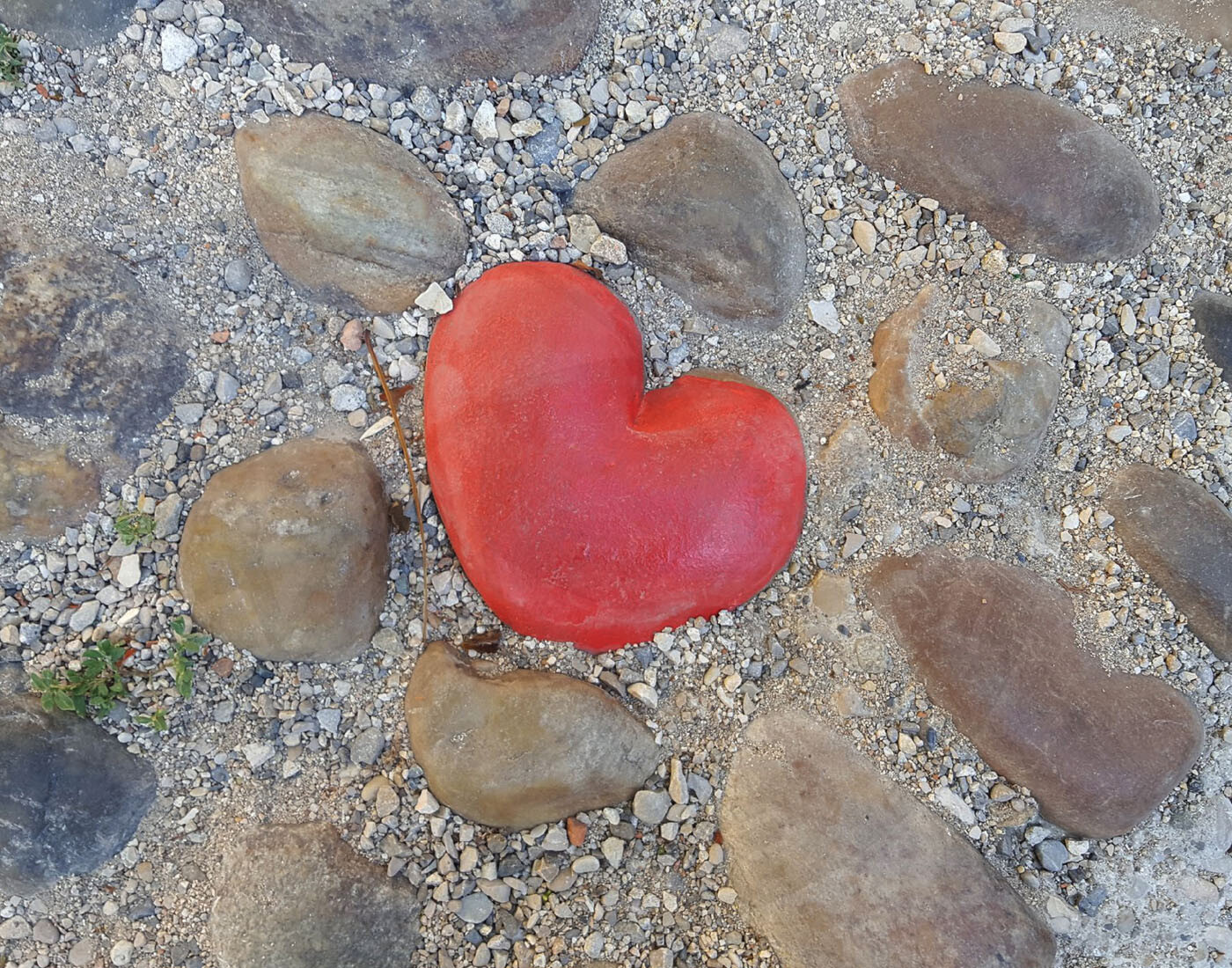 Beautiful 14X11 Photograph Of A Red Heart Shaped Rock Great For Valentine’s Day
