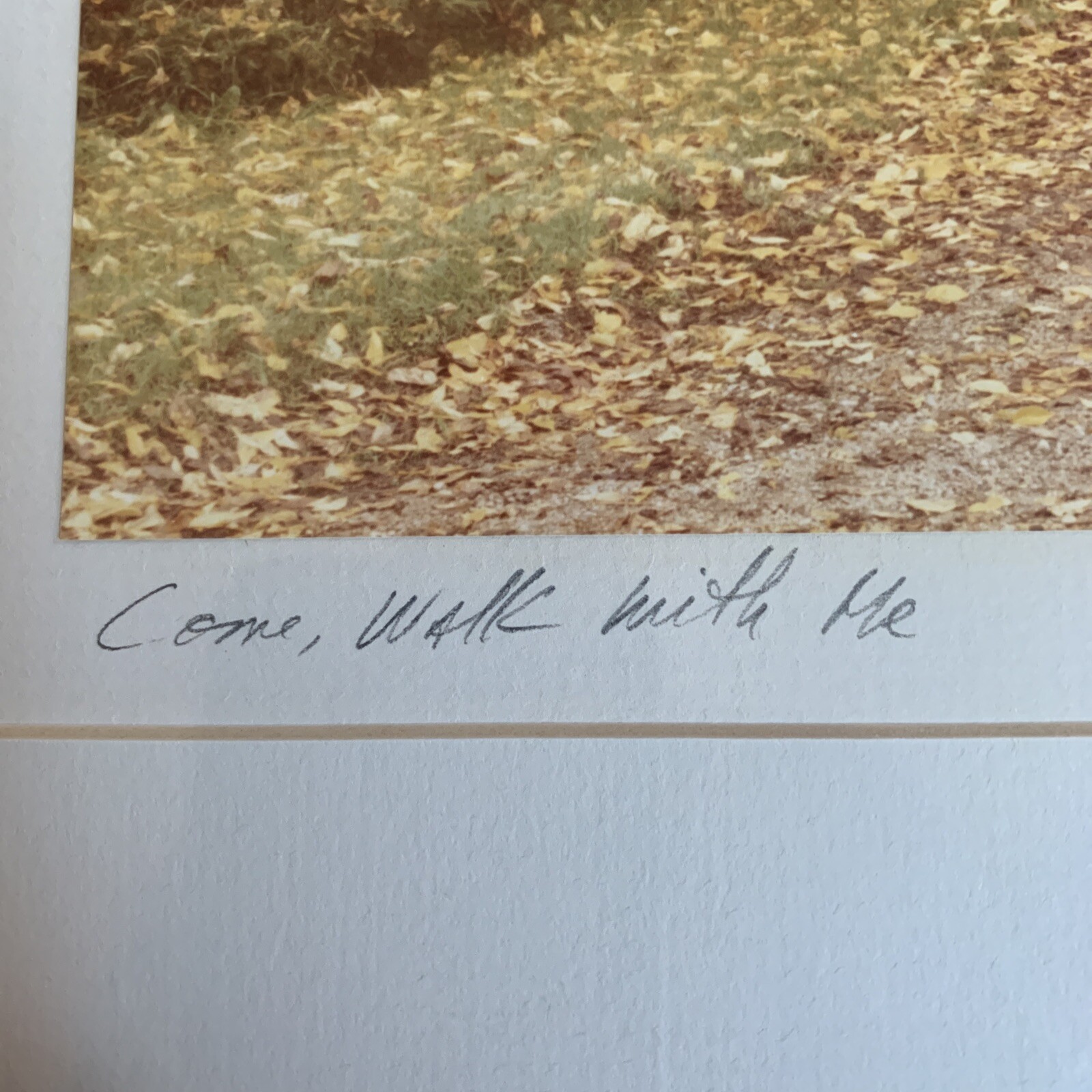 Phil Rusten Signed Framed Photograph “Come Walk With Me” 14×16 Michigan Autumn