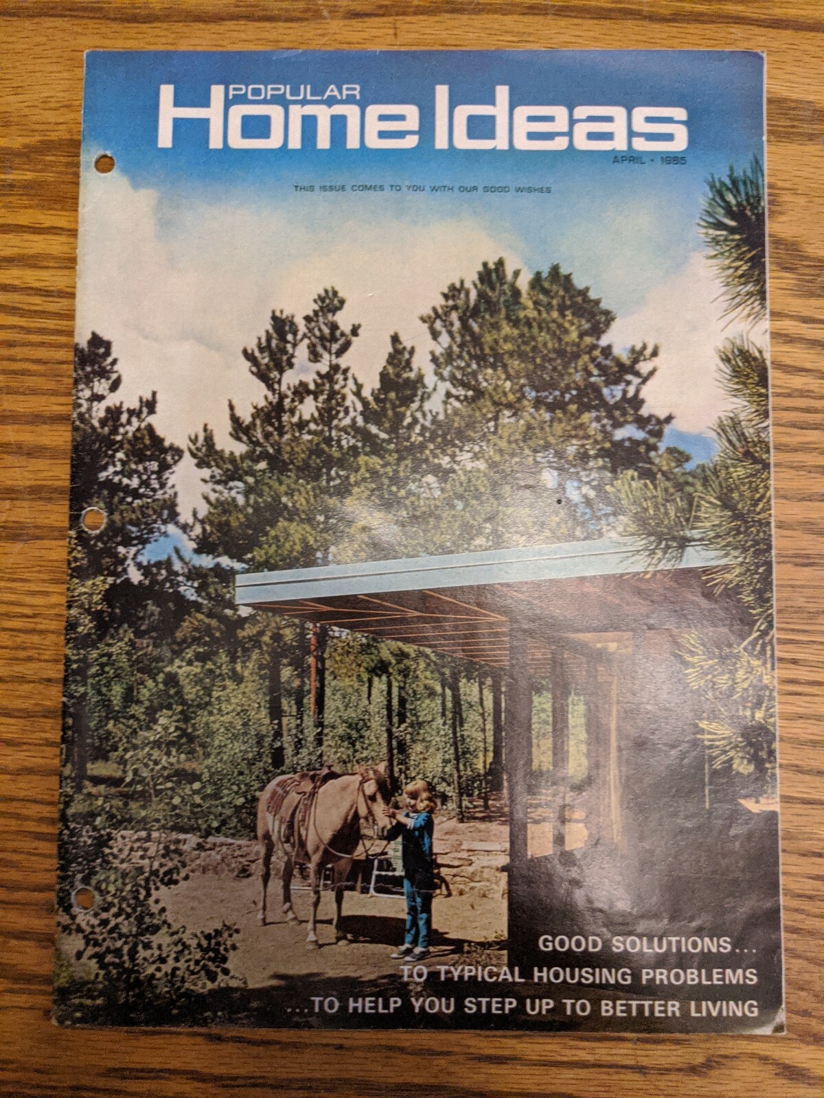 POPULAR HOME IDEAS MID CENTURY MODERN RARE SAMPLE CATALOG PHOTOS ADS RARE VTG
