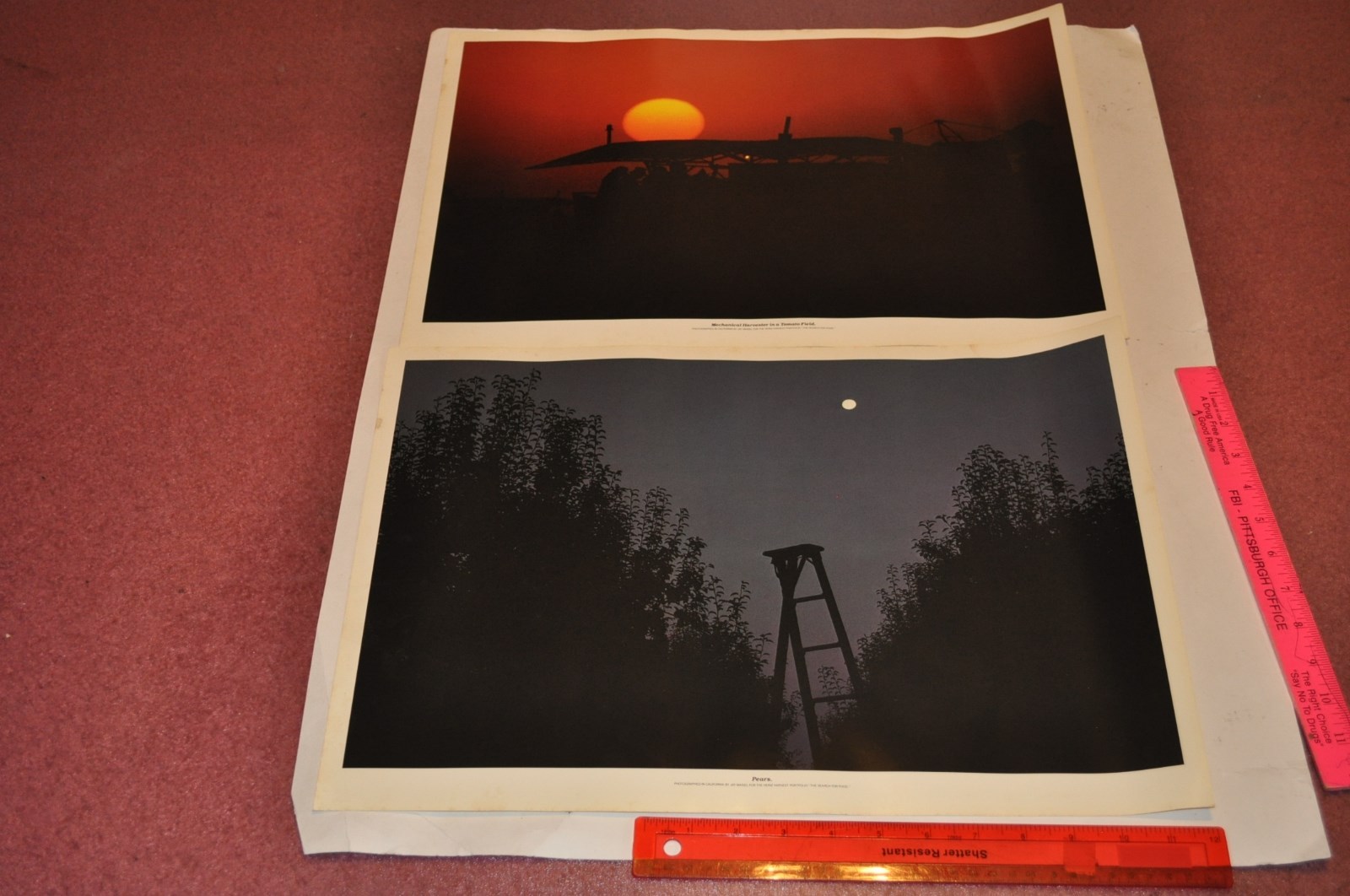 The Search for Food — Portfolio of 16 color photographs for Heinz | Jay Maisel