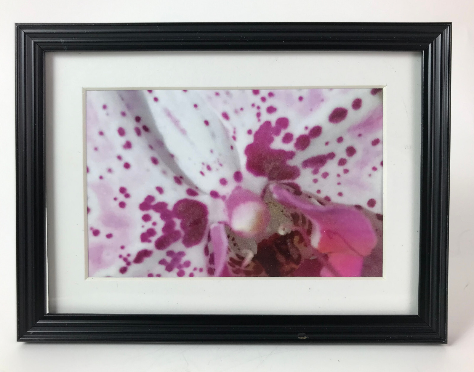 ORCHARD WORLD III, 4×6 ” MATTED AND FRAMED PHOTO PRINT, READY TO HANG