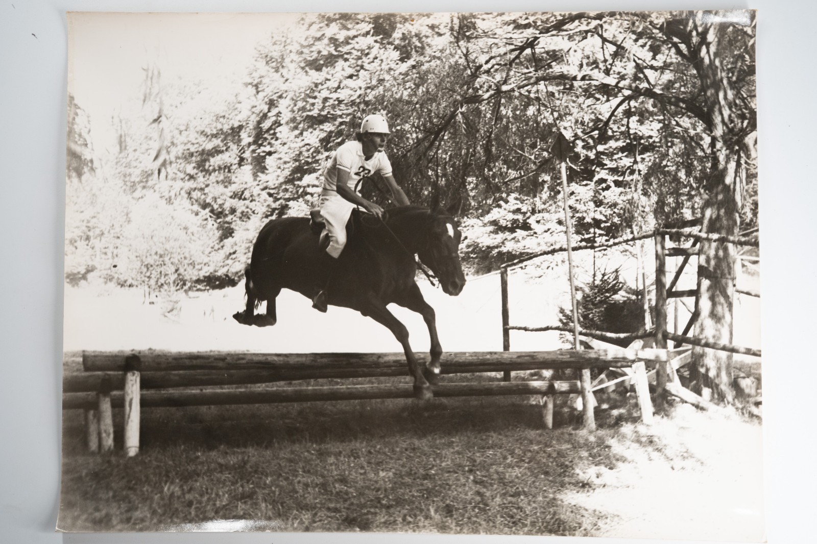 Film Photo France Equestrian Horse Show Jumping 1970 30X40CM