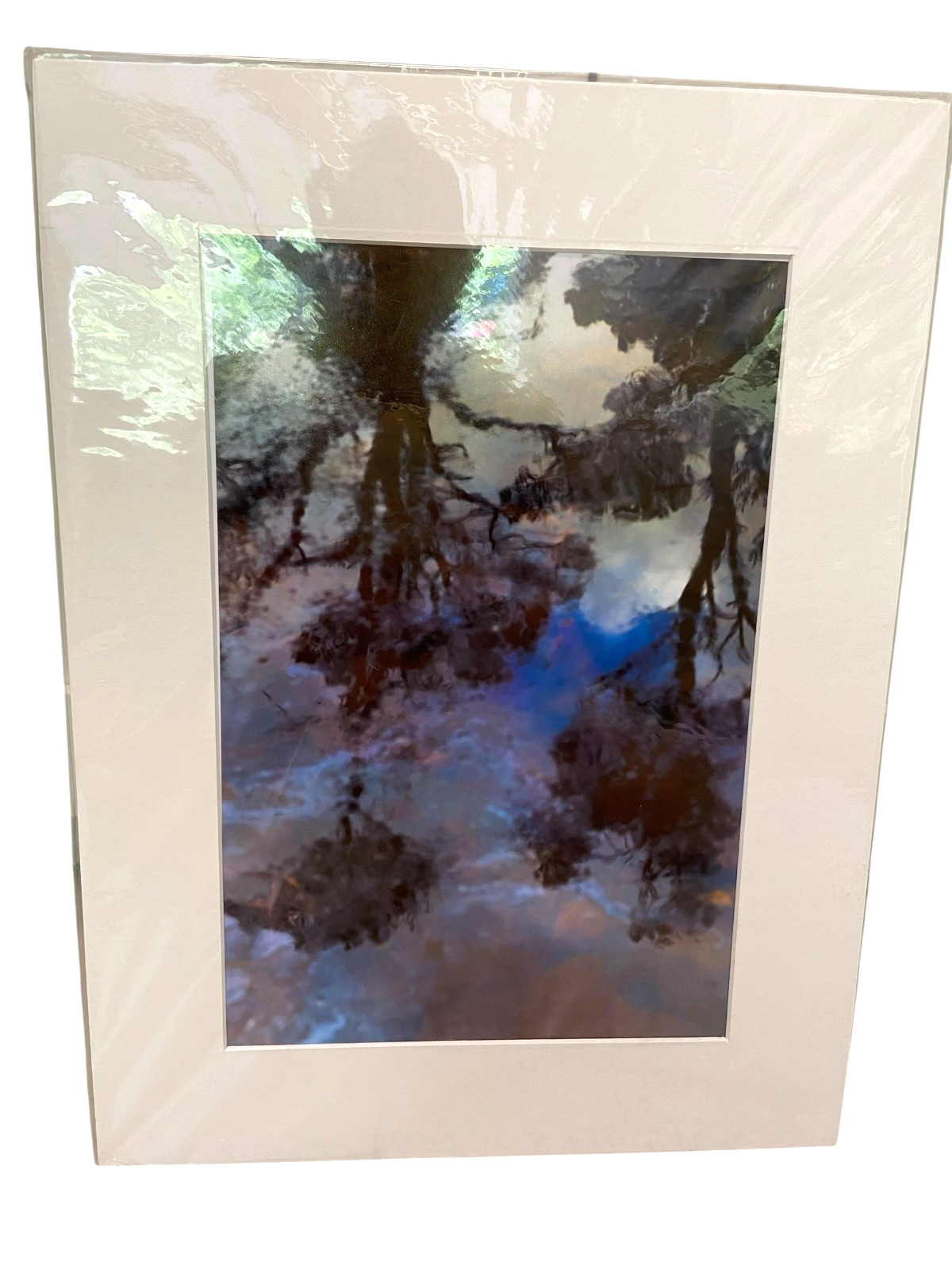 Adrian Jenkins Photo “Impressions” Matted 12″ x 16″ From Reflections Collection
