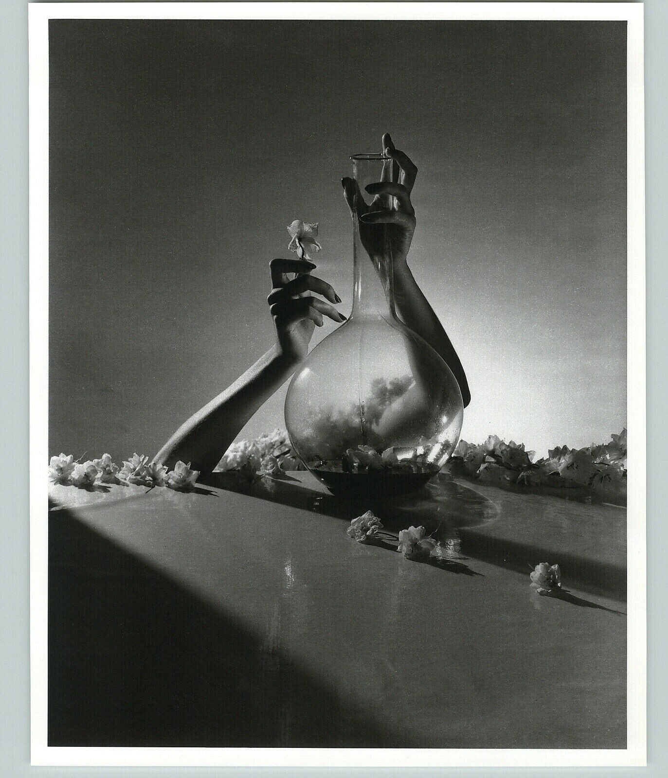1941 1992 Surreal Flower Arrangement Large Art Photo By Horst 16X20