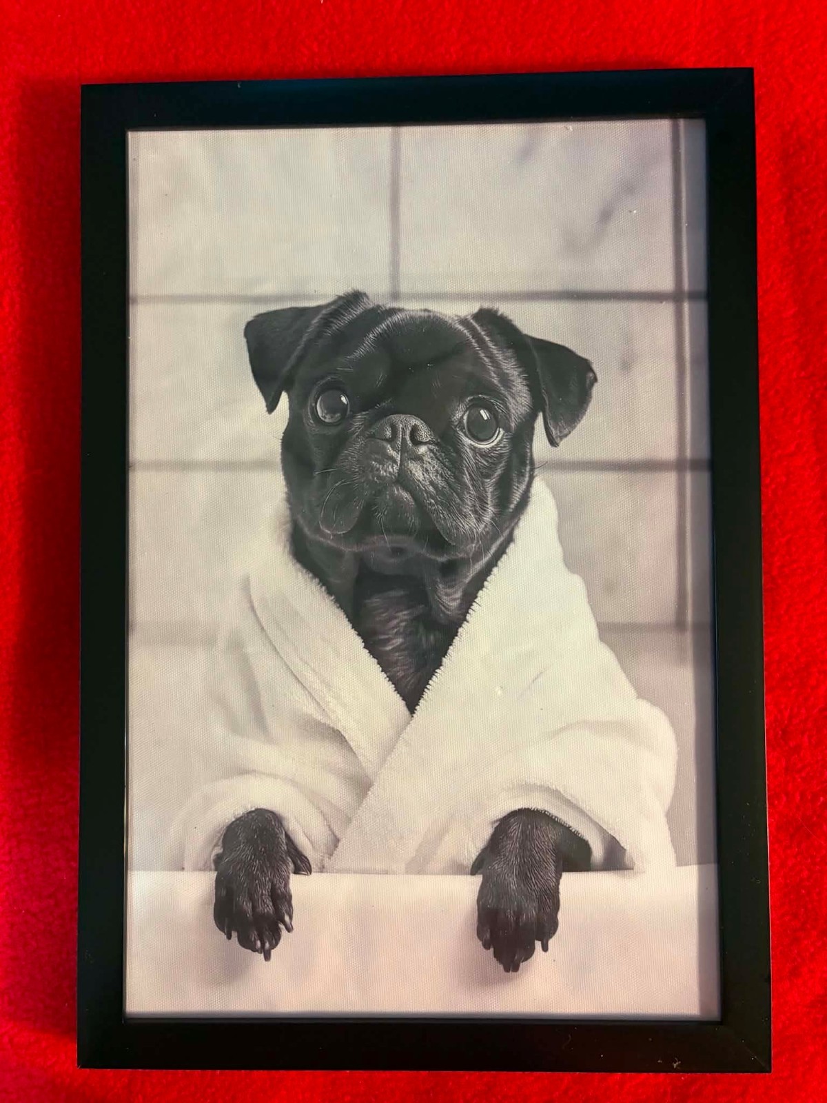 “Ready for my Bath” 2D Flat, Pug in Bathrobe Canvas Wall Photo. Frame 9″x13″