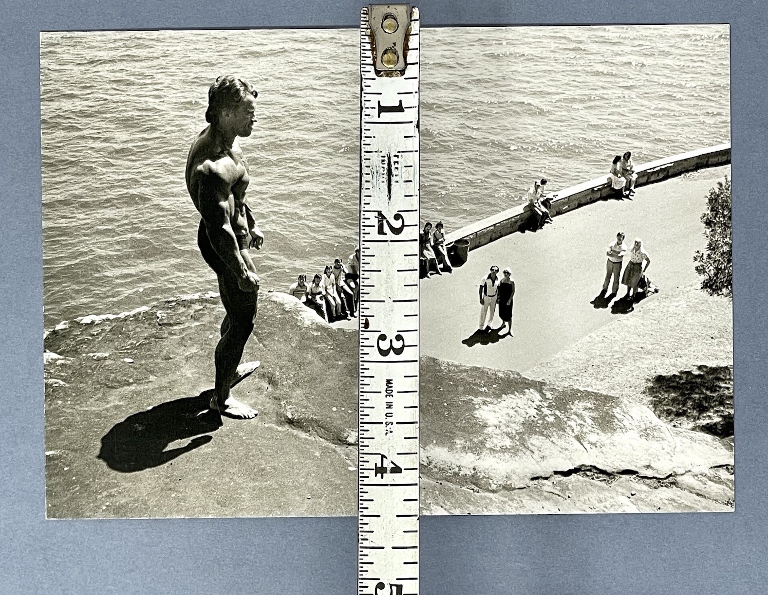 Arnold Schwarzenegger, Mr. Olympia Contest 1981 Fotofolio Art Photo Print Card
