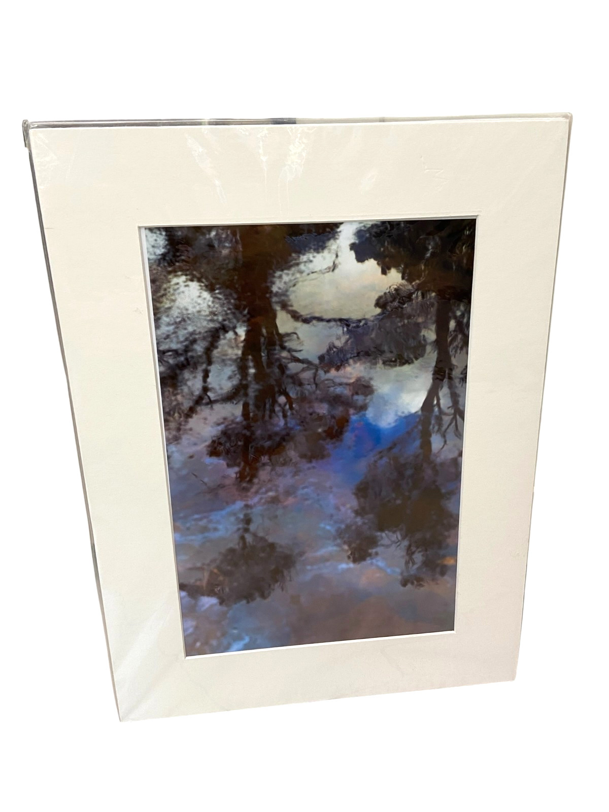 Adrian Jenkins Photo “Impressions” Matted 12″ x 16″ From Reflections Collection