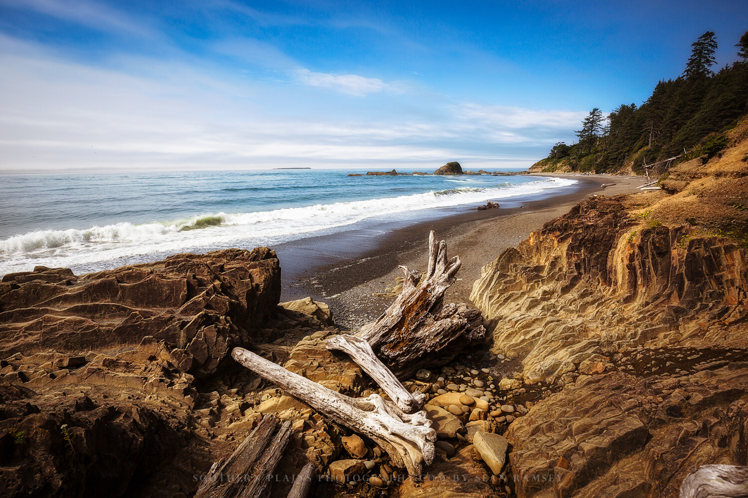 Driftwood Photography Print: Washington Coast Pacific Northwest Beach Photo