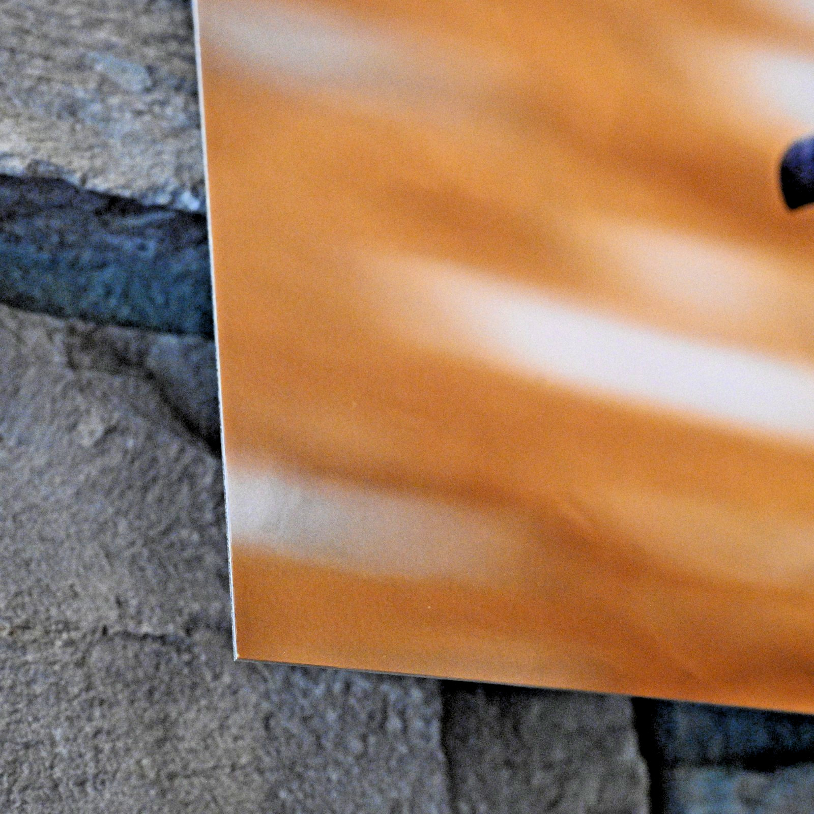 Canada Goose 18 x 12 METAL Fine Art Photography by Life Plus Wild w Mounting