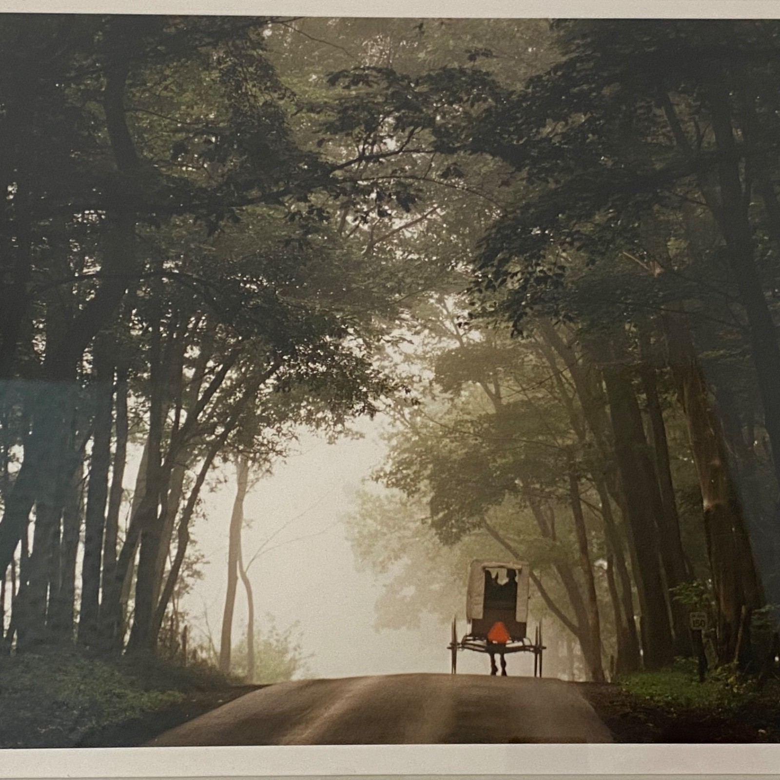 Bill Coleman Amish No 998 • Signed Artist Proof Framed Color Photograph • Buggy
