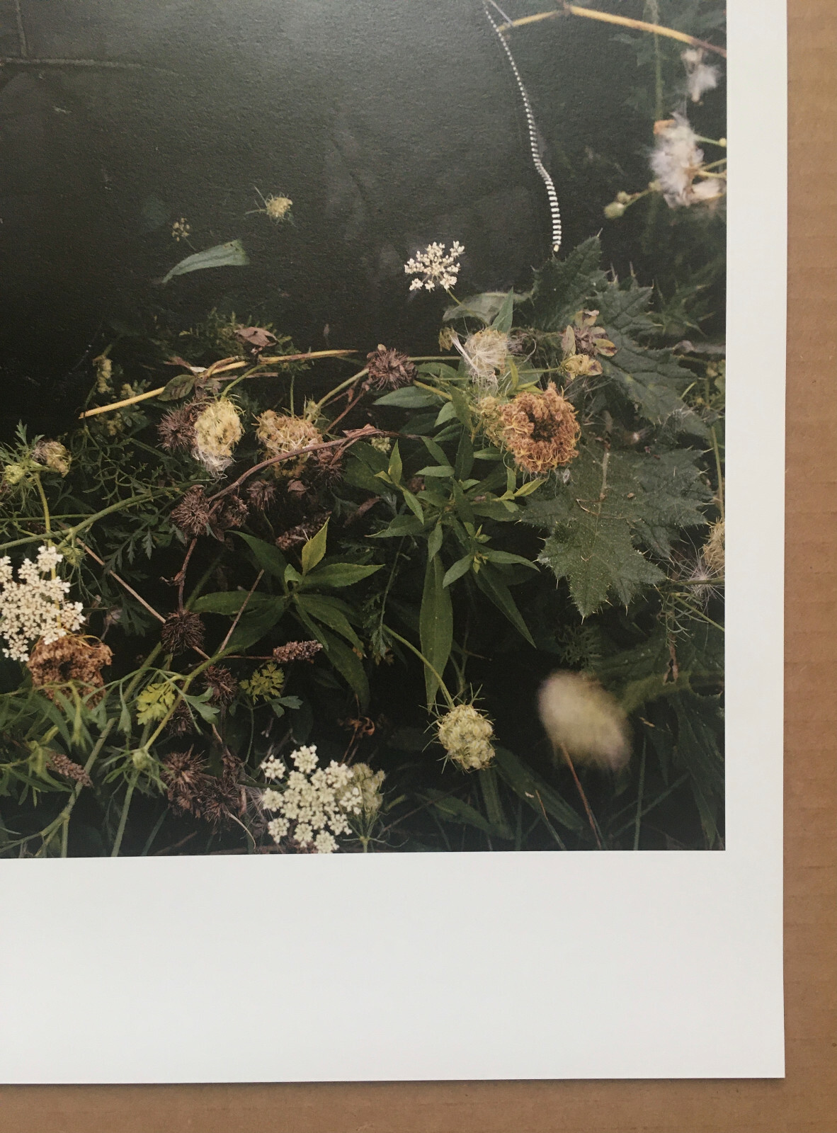 ALEC SOTH – CRY BABY (2005) signed and numbered print – ed 50 – MAGNUM PHOTOS