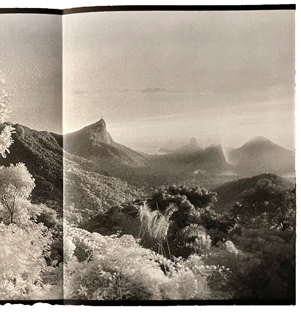 Rare Artists Photography Book ROBERTO LINSKER ‘Ilusão Posterior’ São Paulo 2015