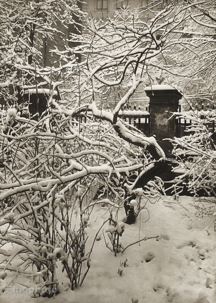 1950 Vintage JOSEF SUDEK Winter Garden Snow on Trees Original Photo Gravure Art