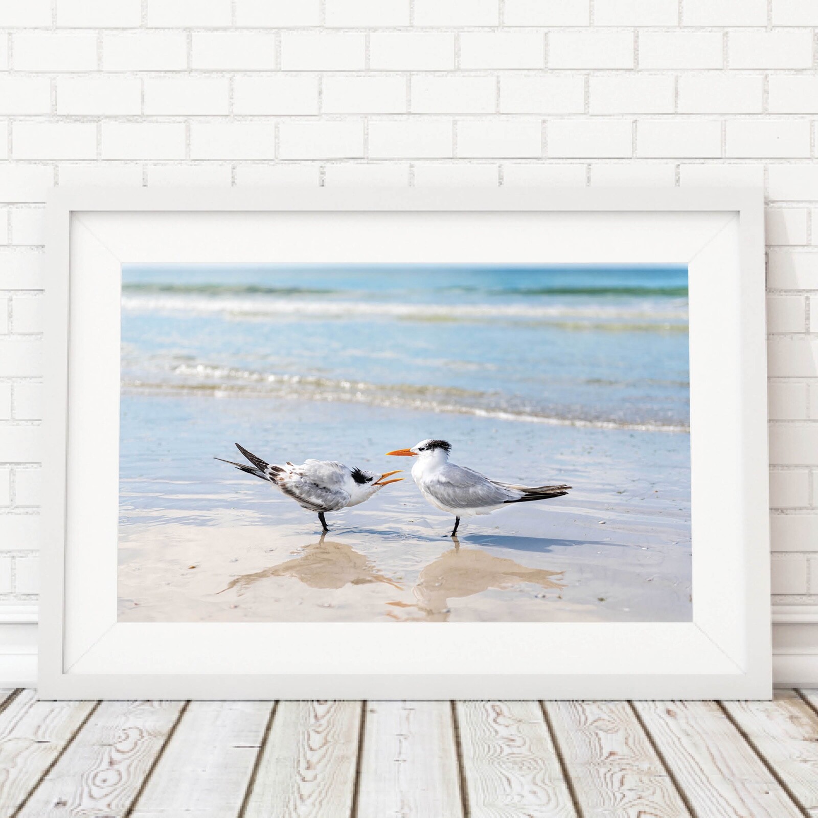 Birds on the Beach Photo, Siesta Key Photography Wall Art Beach House, Wildlife