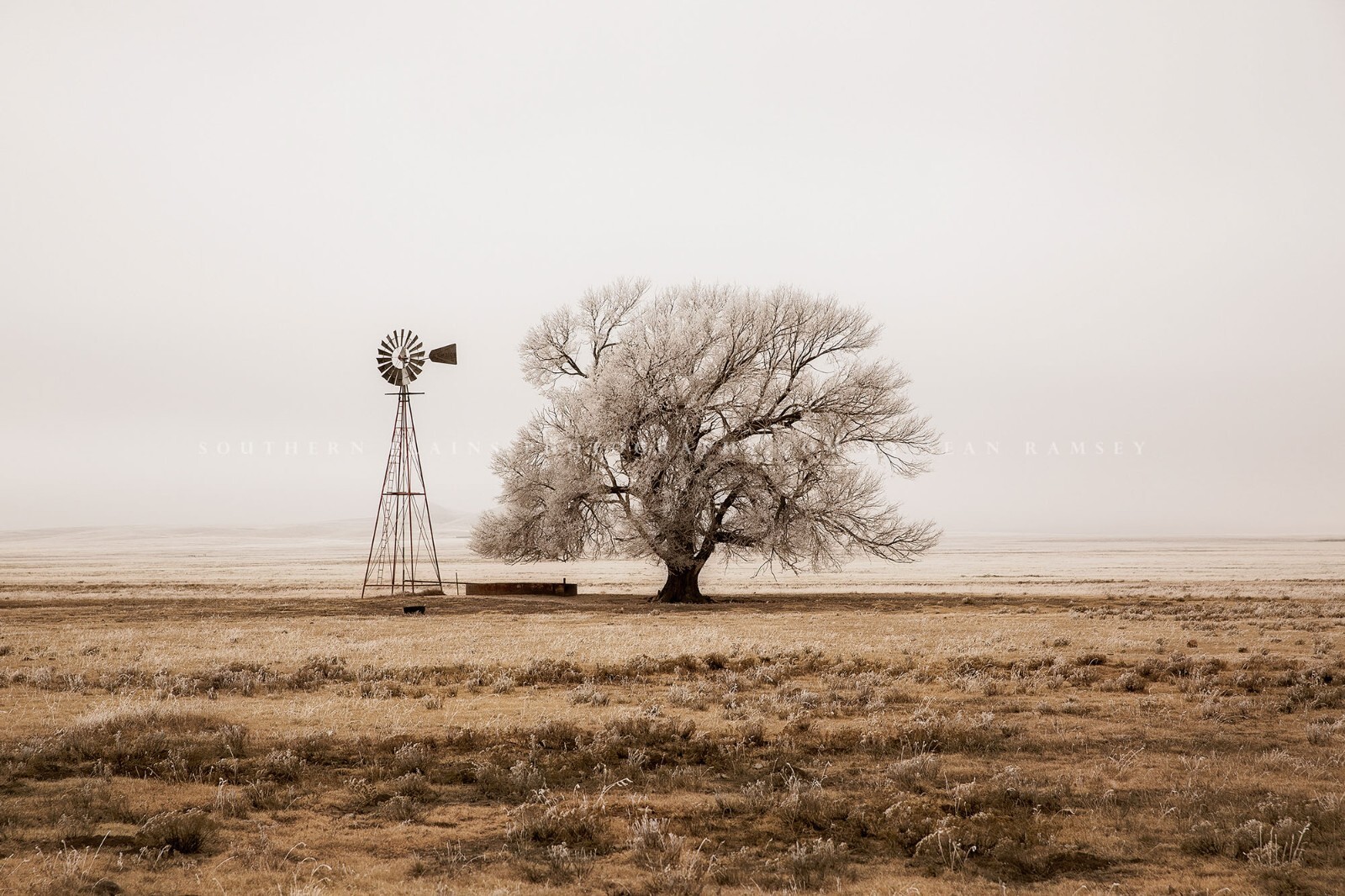 Windmill Photography Print: New Mexico Tree High Plains Sepia Country Photo