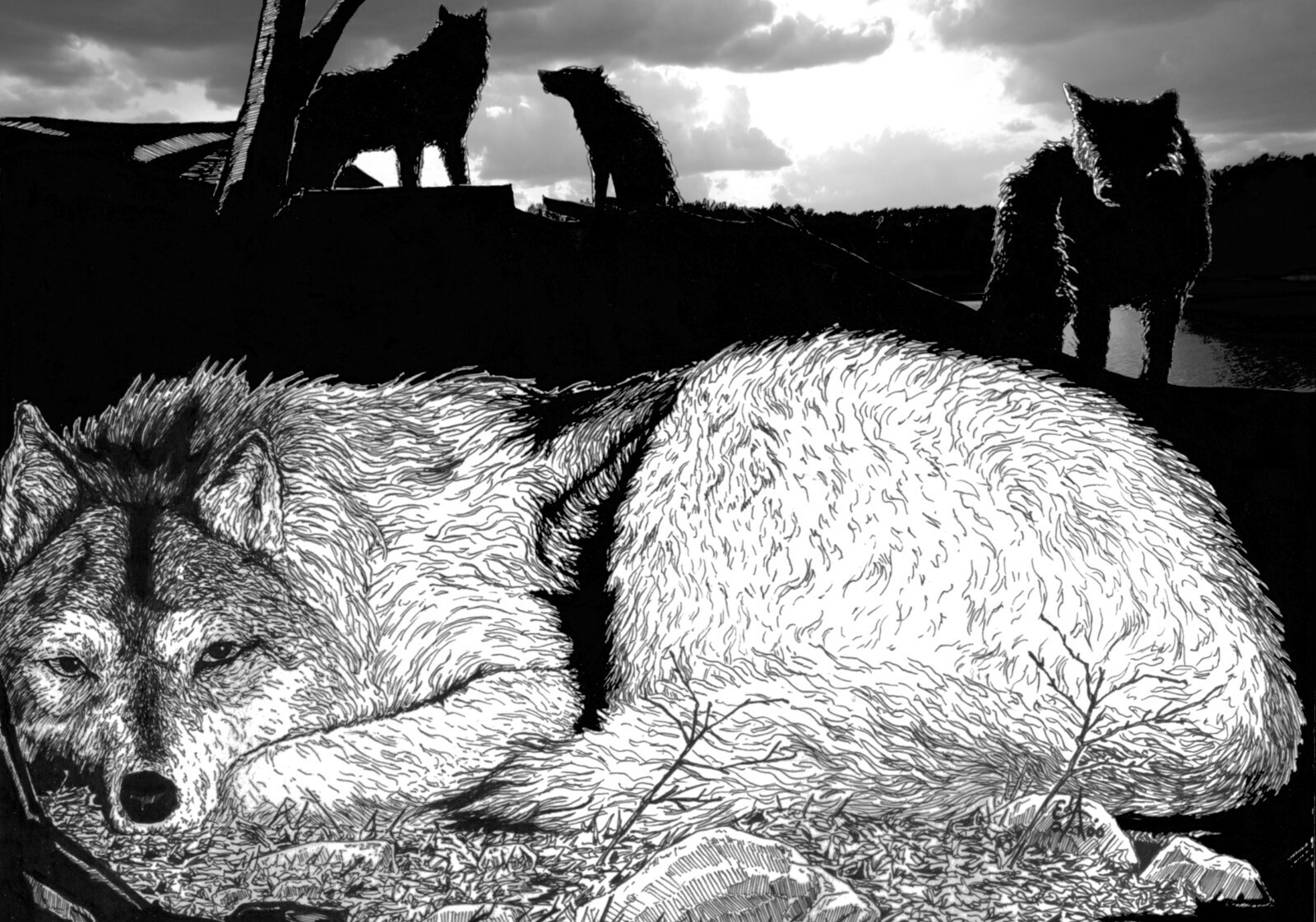 art print 23″ x 17″ Wolf en Ink drawing wilderness wildlife multi-media wolfpack