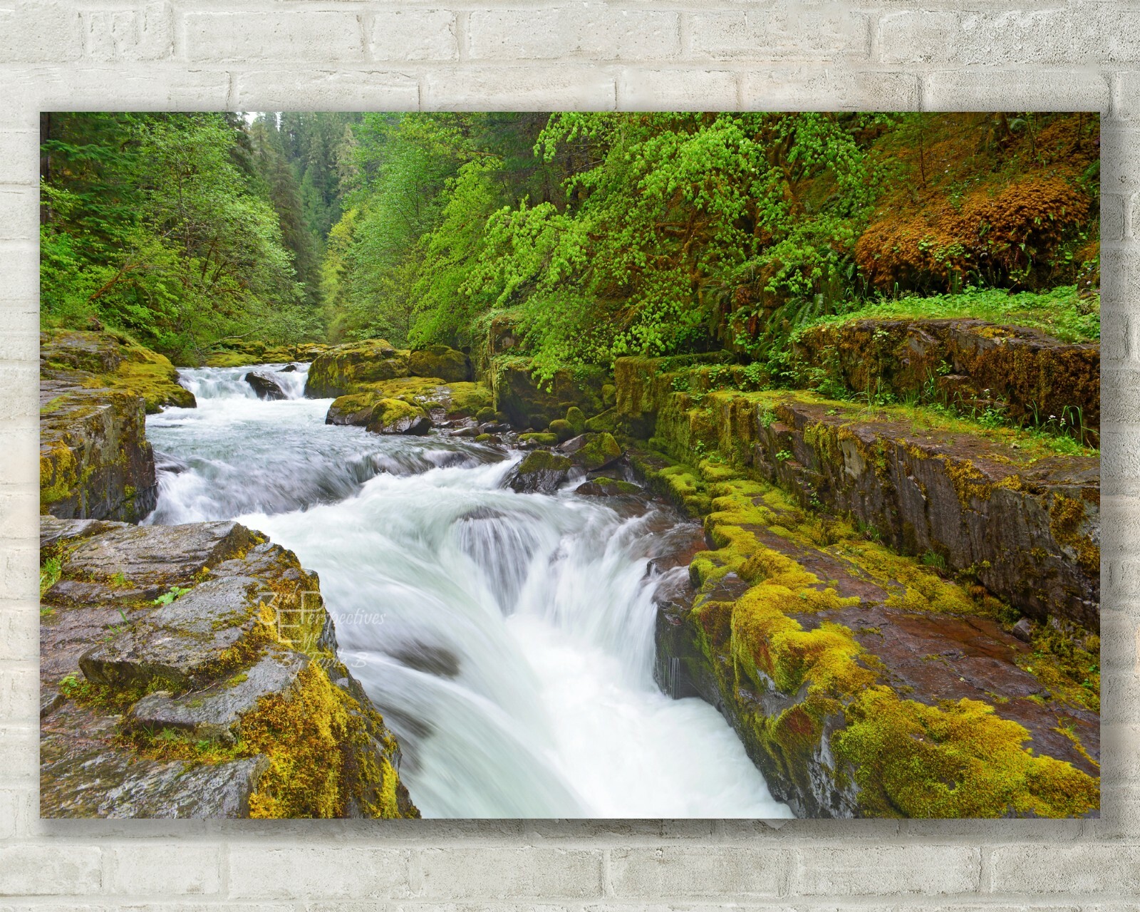 Oregon Landscape, Forest, Trees, Waterfall, Fine Art Photo, Metal, Canvas, Paper