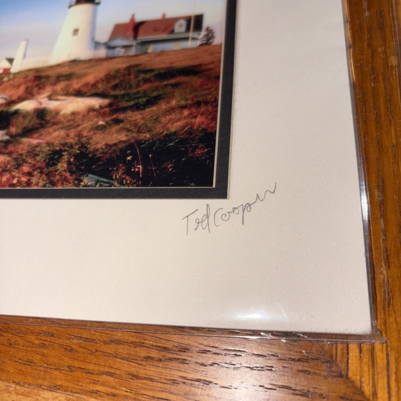 Signed Matted Tod Cooper New England Pemaquid Point Lighthouse Maine Photograph