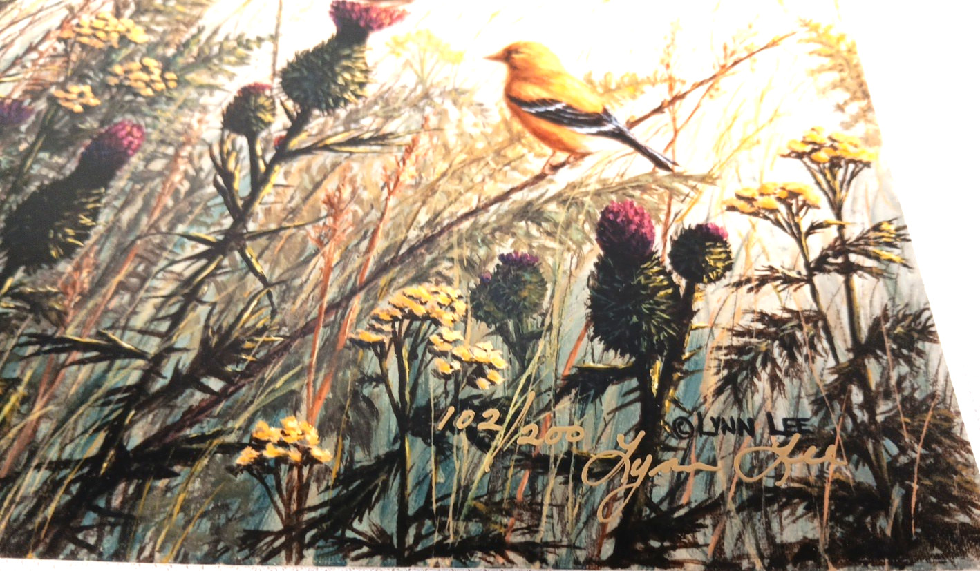 3 VTG Bird Photographs Pictures Signed, Limited Editions Quail Chickadee Nature