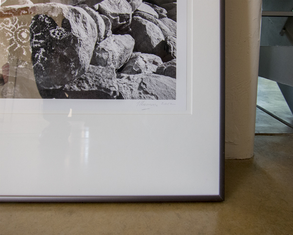 Photograph of Southwestern Desert in Black and White with Formal Metal Frame