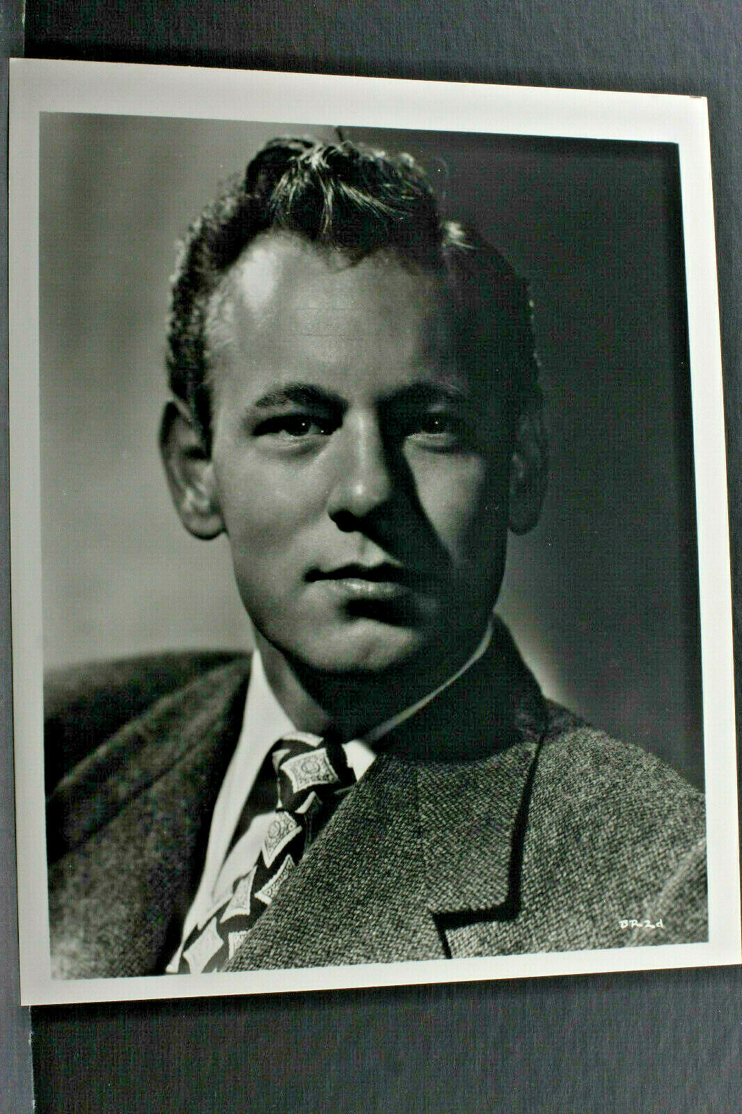 Young William Phillips Serious Head Shot – 8×10″ Photo Print-Vintage L1182H