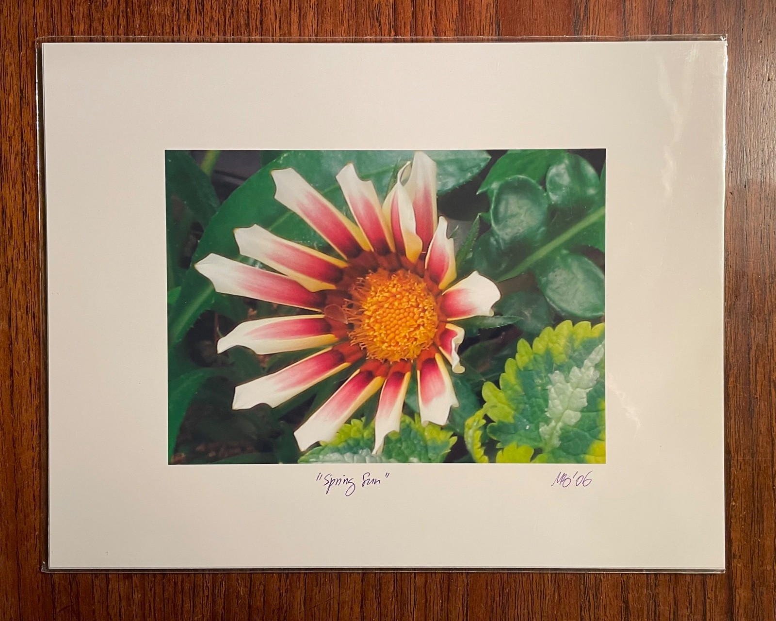 Original photographic print “Spring Sun” by Michael Blumenstock