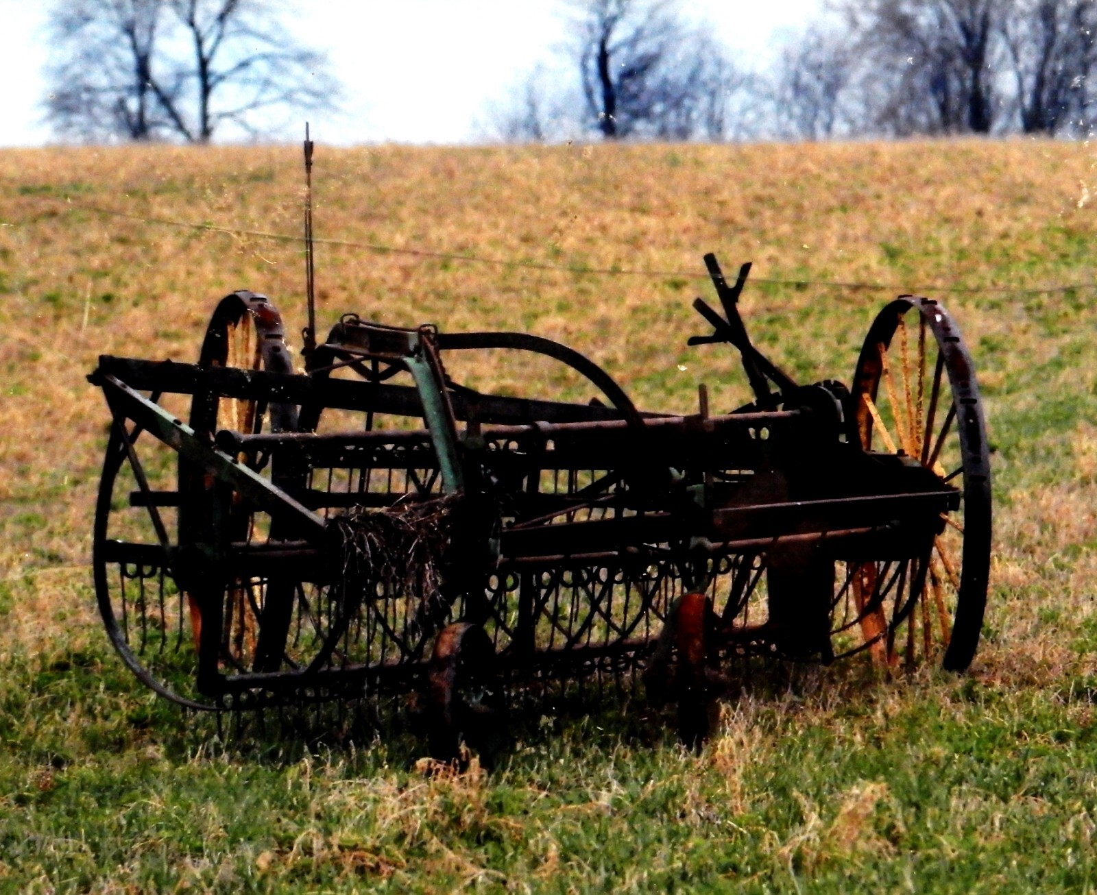 Matted Amish Photography Print, Wade Wilcox, Horse Drawn Hay Rake, Vintage Art