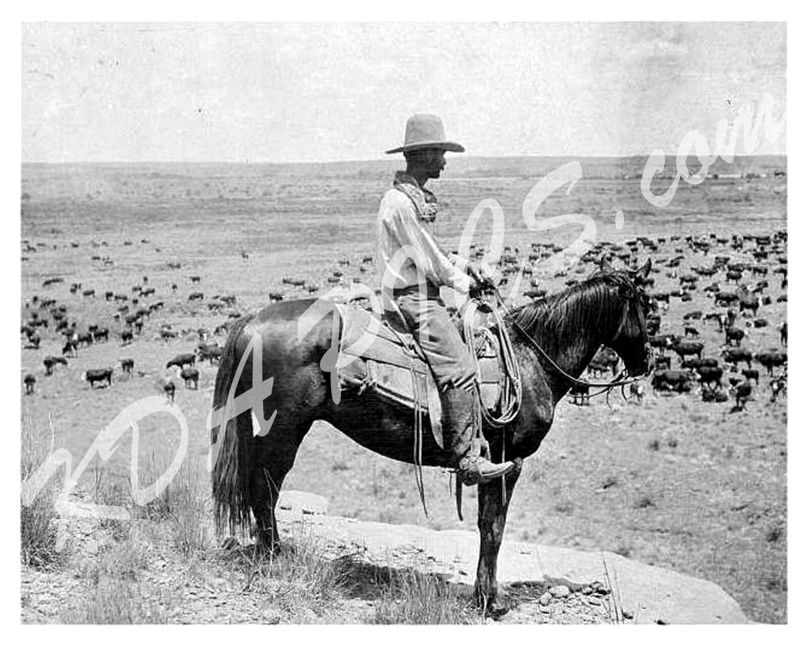 8X10 VINTAGE REPRO Cowboy Photo Mounted&Matted 11X14 READY TO FRAME