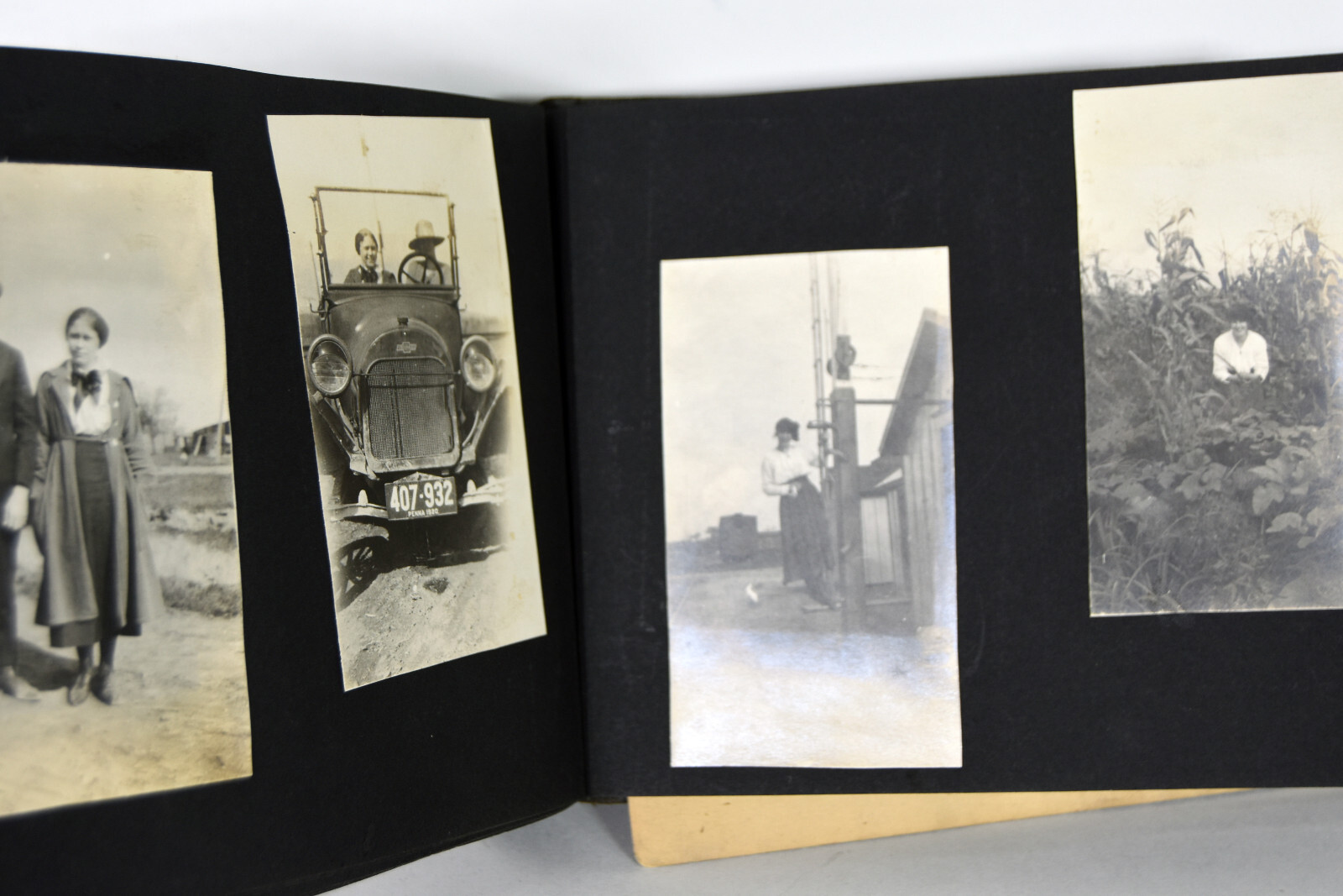 Antique Photo Album PA Conneaut Lake Pennsylvania Nurse Pets Horses Women