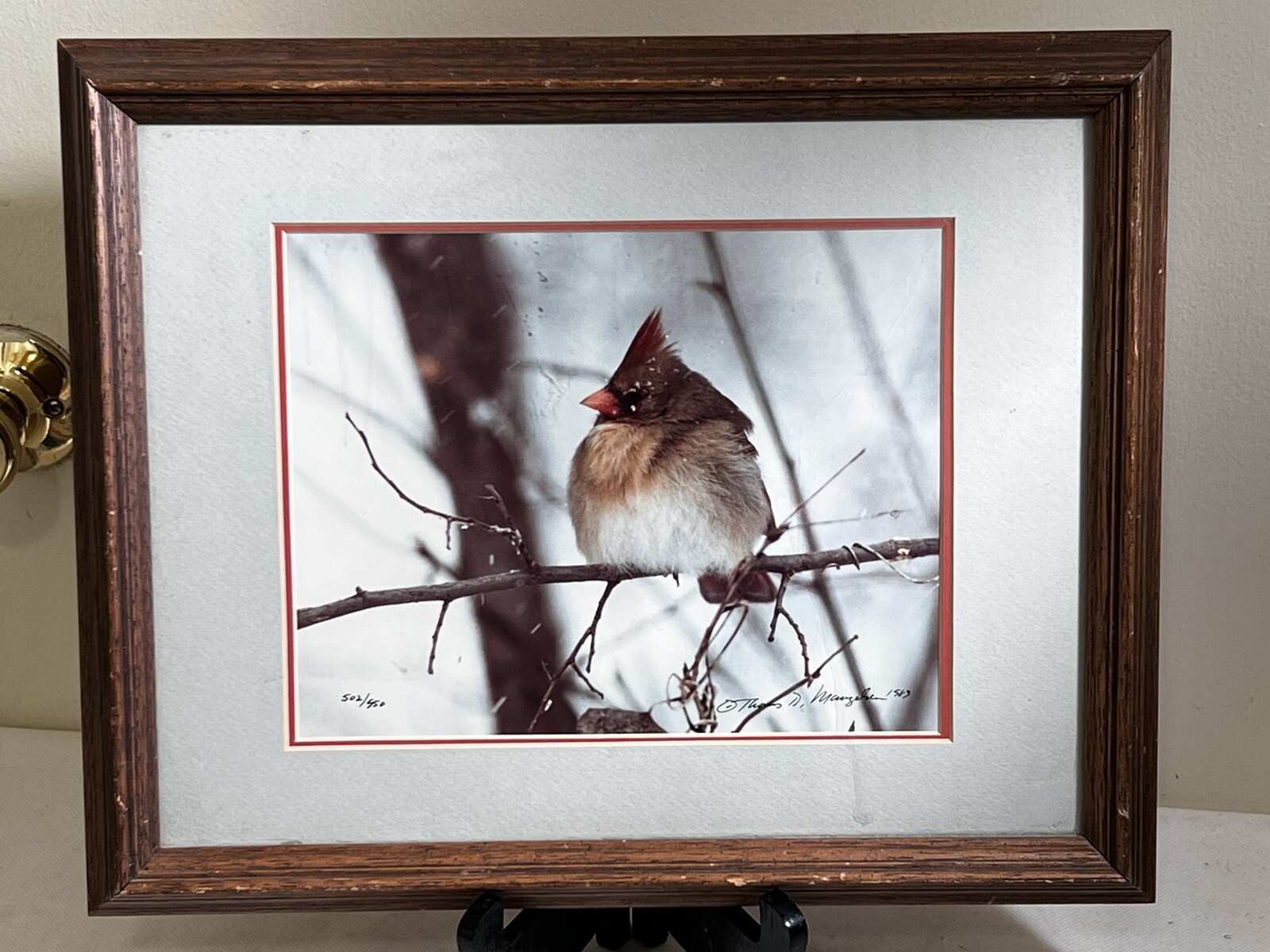 Thomas D. Mangelsen Framed Female Cardinal Signed no. 502 of 950
