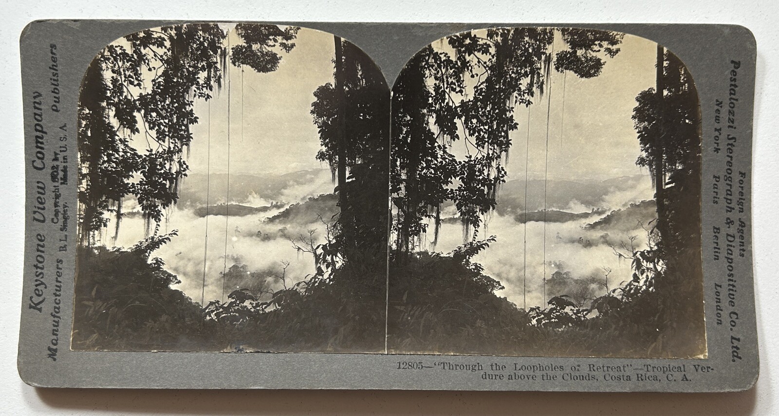 Costa Rica Tropical Landscape 1902 Stereo Vintage Photo