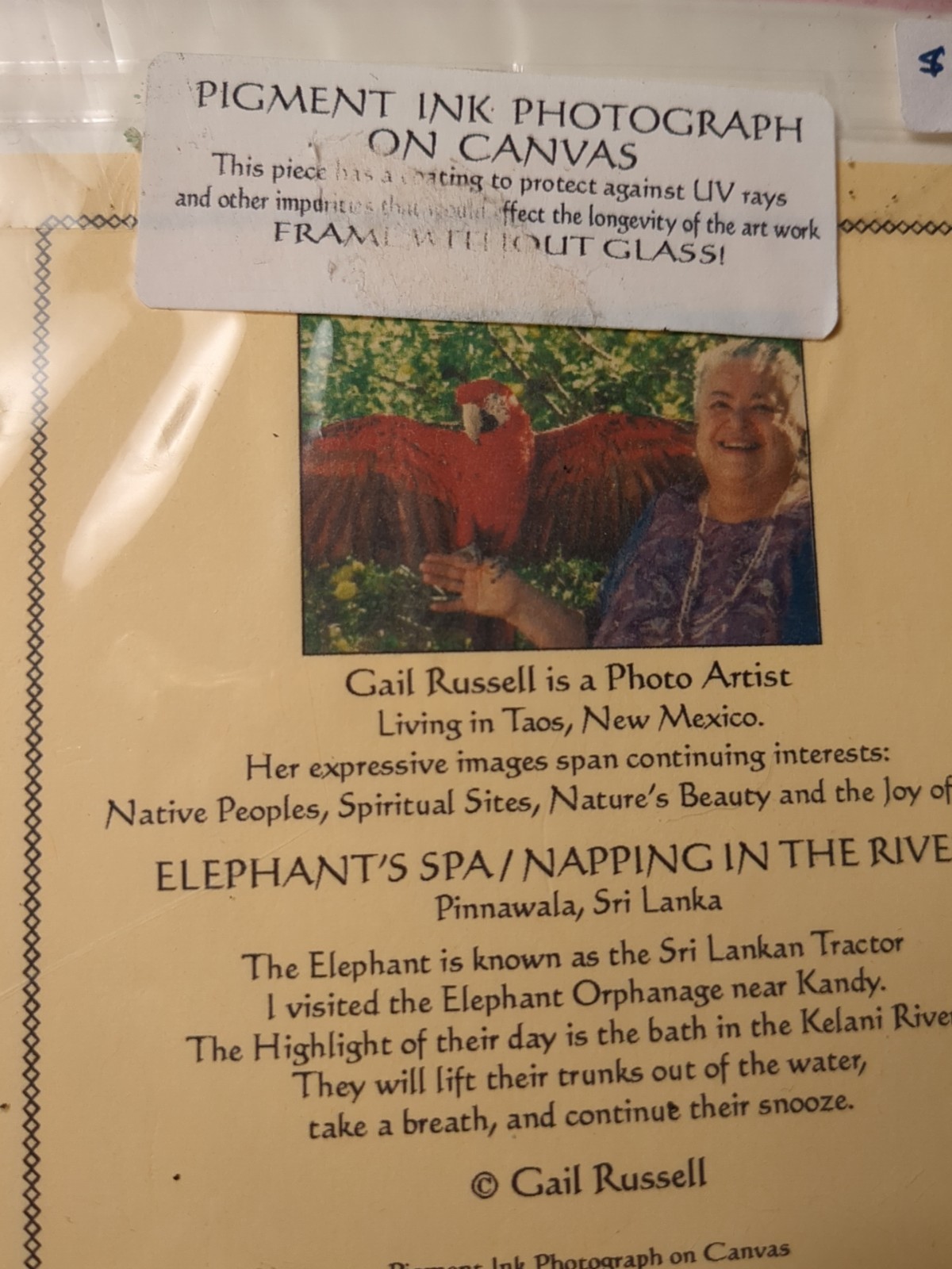 New Elephants Pigment Ink Photograph On Canvas 5″x7″ Gail Russell Photo Artist