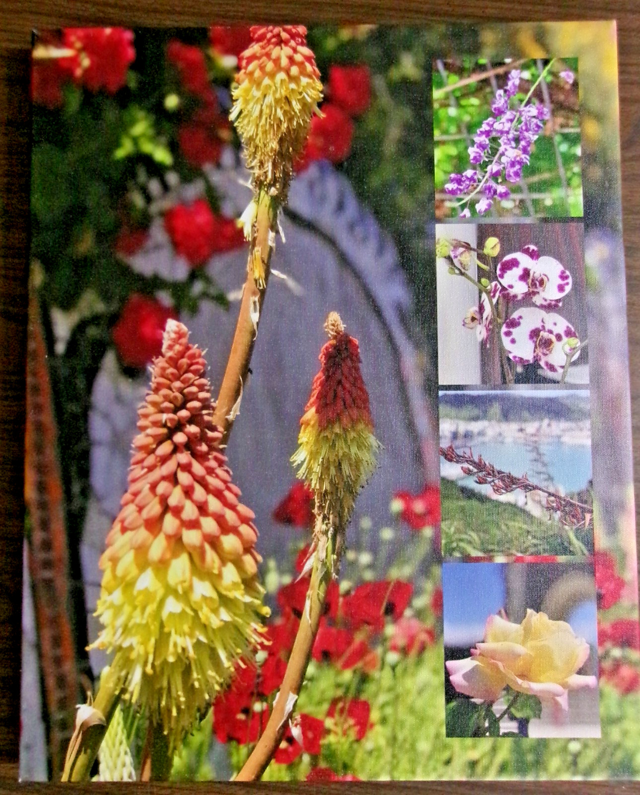 Canvass Print of Flowers – Photos taken by seller in New Zealand