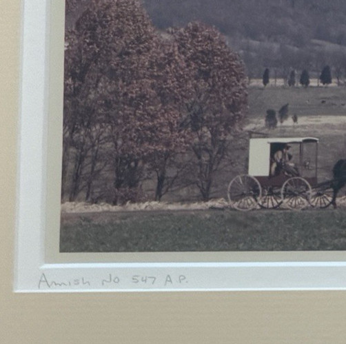 Scenic Landscape Amish Signed Bill Coleman No 547 Photography Print 14” X 17”