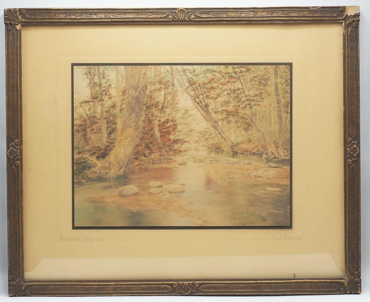 Antique Fred Thompson Woodland Symphony Hand Tinted Photograph Framed