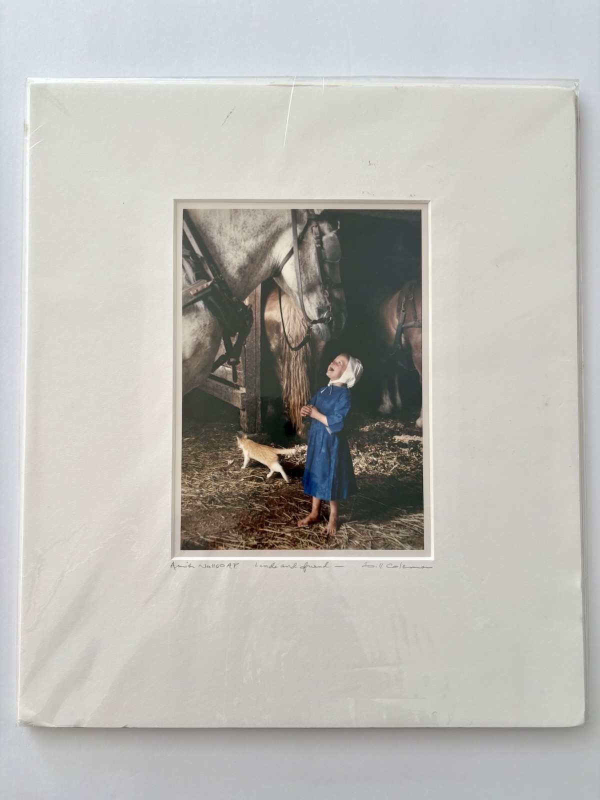 Bill Coleman Signed Photo “Amish No 1160 AP Lindi & Friend” Girl w Horses & Cat
