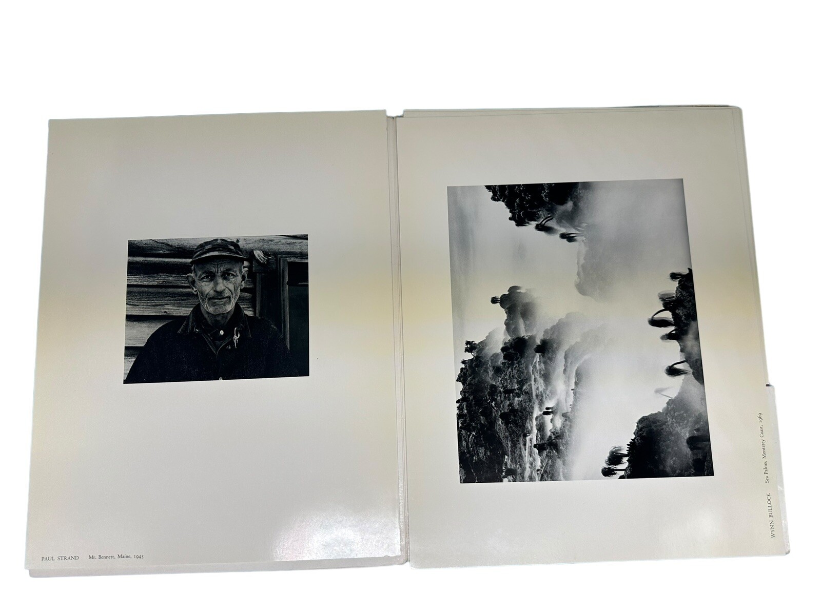 Persistence of Beauty Portfolio 1 The Friends of Photography / JLG