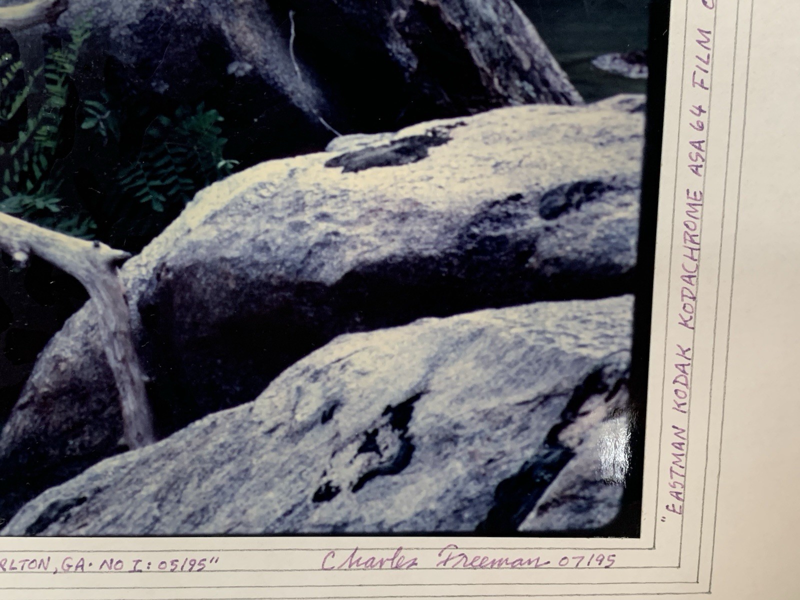 Original Photograph by Charles Freeman Signed w/Mat Board