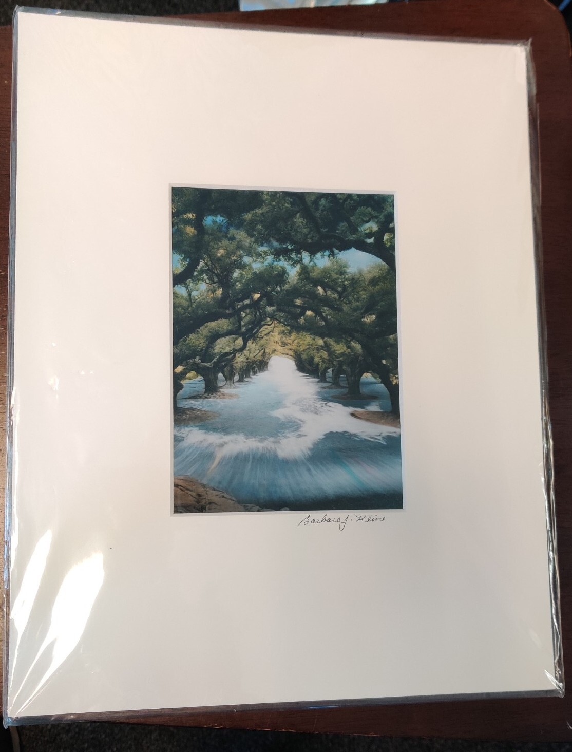 Barbara J. Kline 5×7” Matted Hand Colored Black & White Photograph Signed 2001