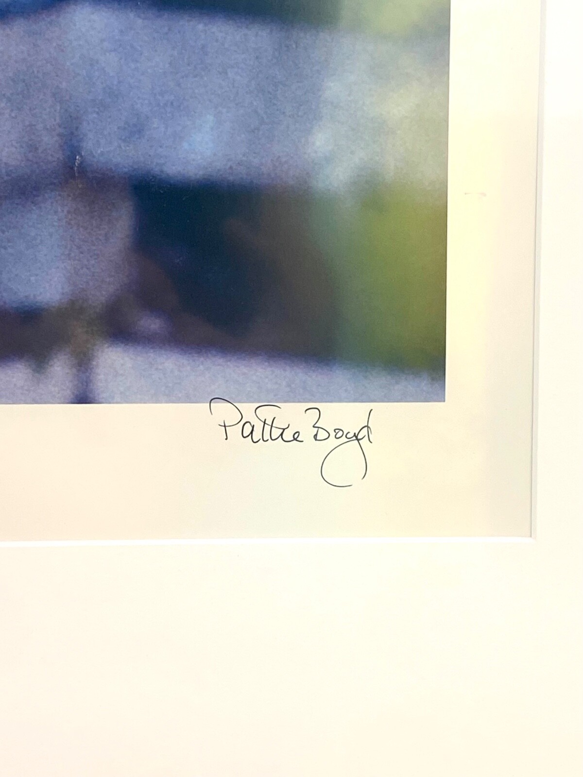 “The Rose Garden”: Rare 40″x60″ George Harrison & Pattie Boyd Litho #1/10
