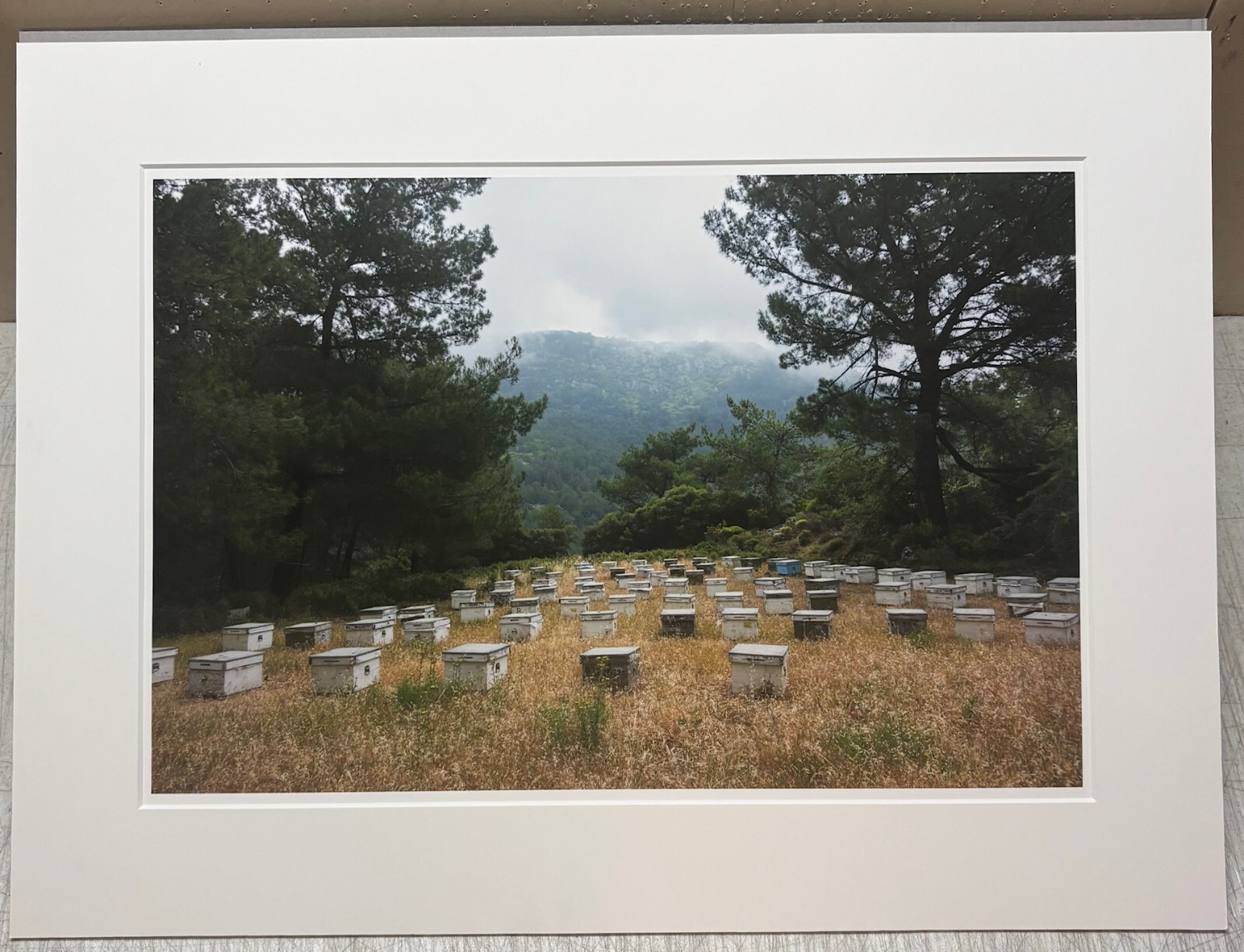 Vintage 2018 SUSANNAH HAYS ‘Bee Boxes Hives’ Datca TURKEY Landscape PHOTO