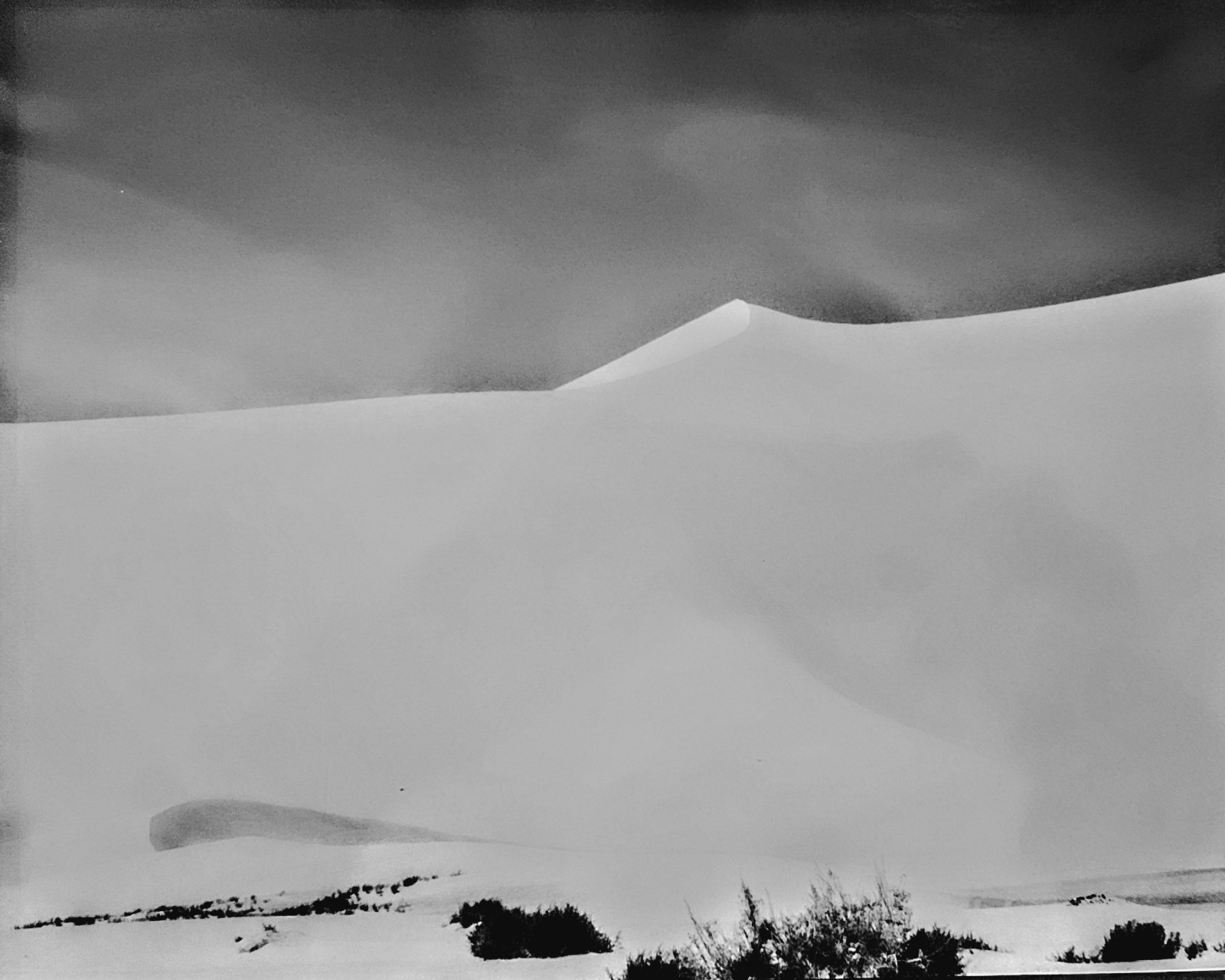 “DUNE”