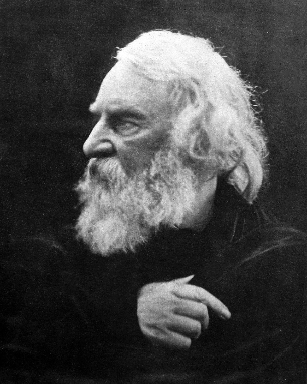 Henry Wadsworth Longfellow American Poet Photograph Print 8″x10″